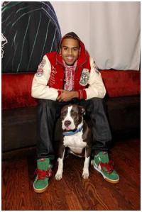 2013chrisbrownbull.jpg