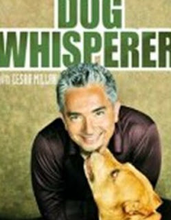 2013dogwhisperer.jpg