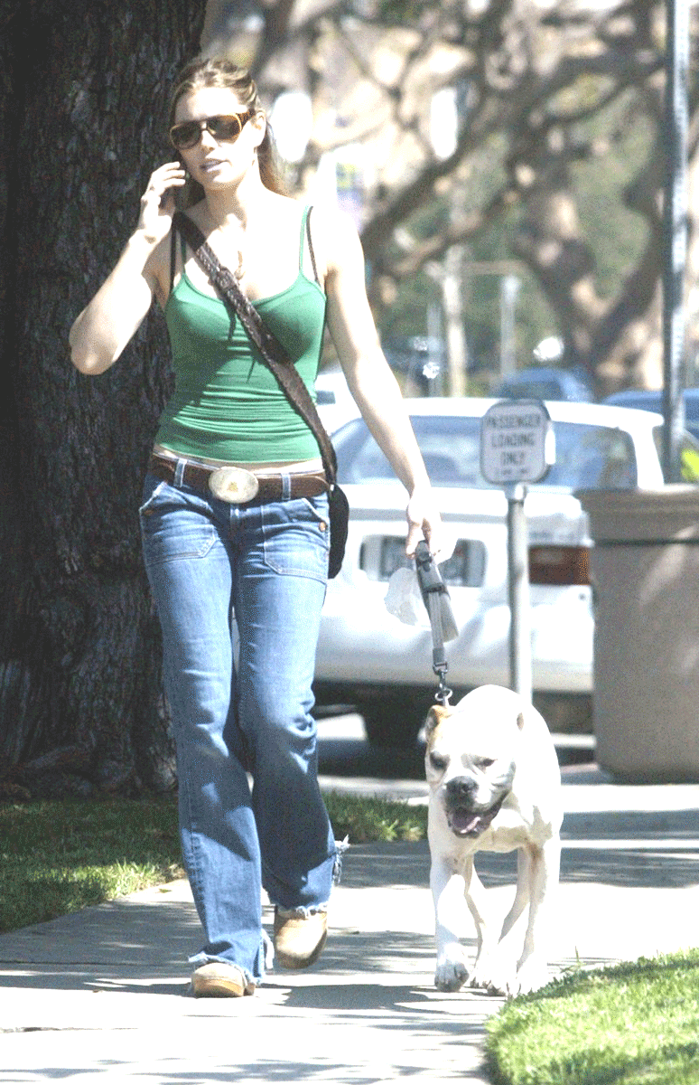 2013jessicabielweb.gif