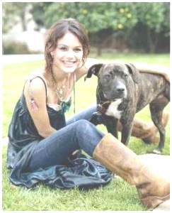 2013rachelbilsonbull.jpg