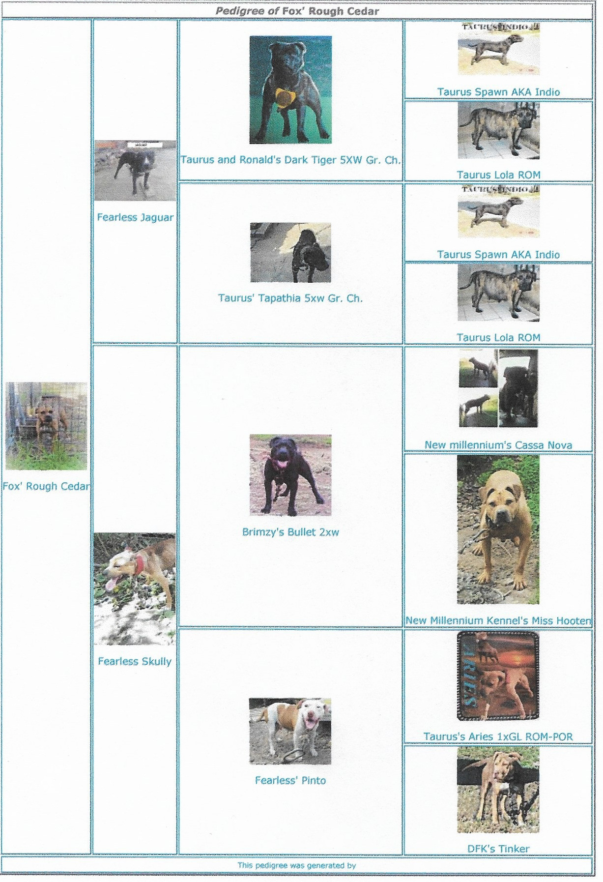 roughcedarscan201812042editedcopy.jpg